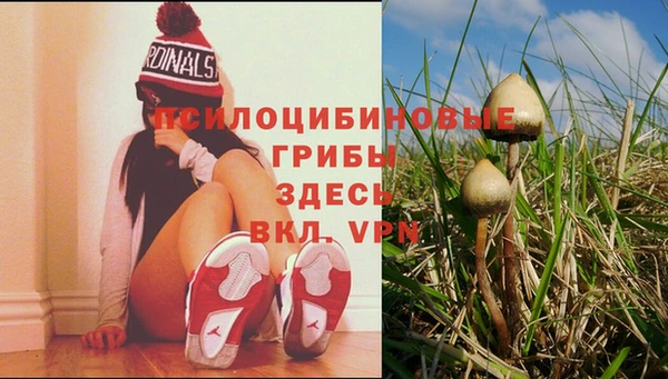 стаф Армянск