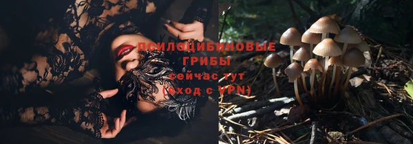 стаф Армянск
